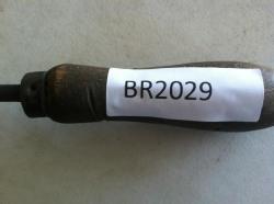 BR 2029 (11)