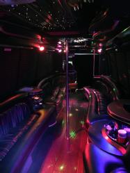 Party Bus (26)